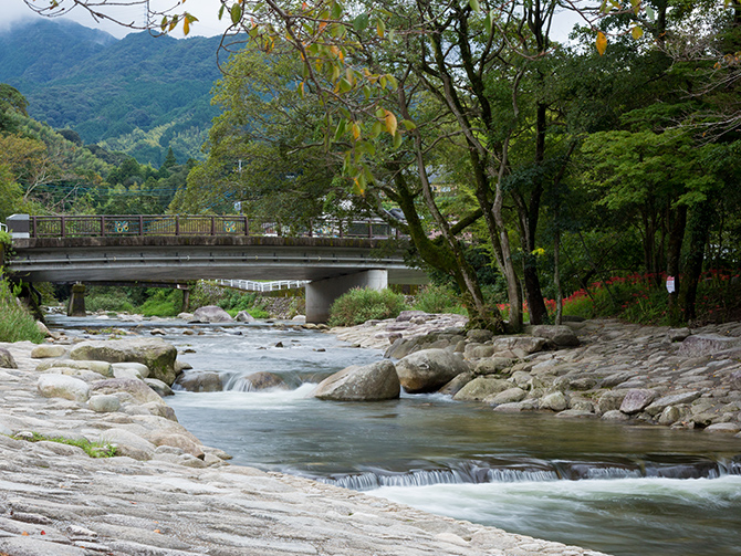 施設のご案内 | 中ノ島公園