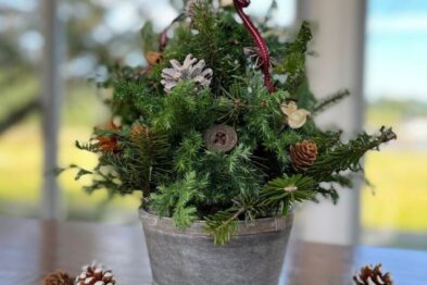南畑の葉っぱでつくる　クリスマスツリー（※受付終了）