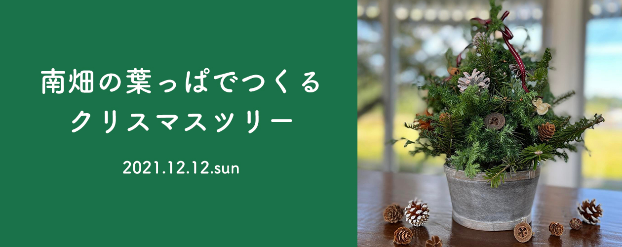 南畑の葉っぱでつくる クリスマスツリー(※受付終了)