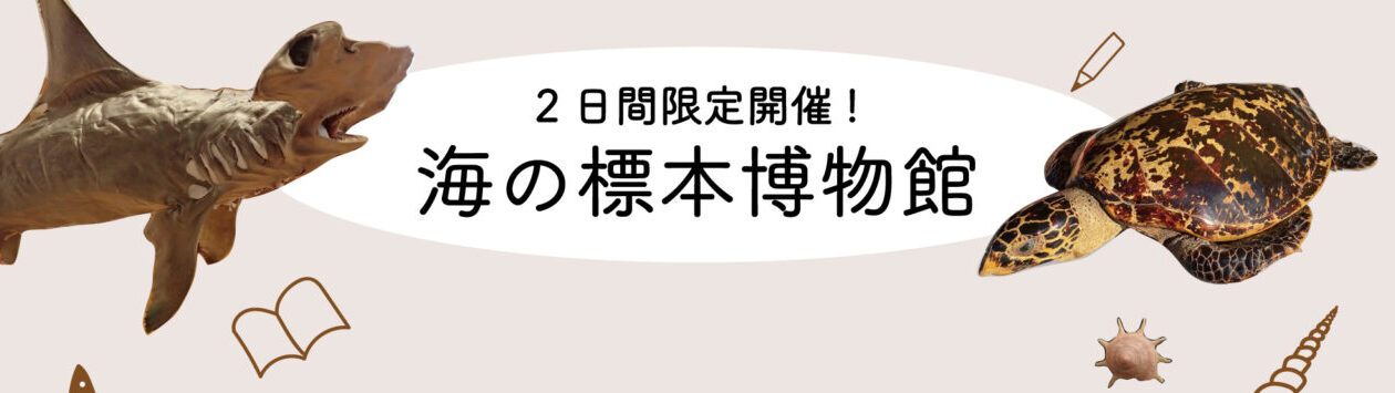 海の生きもの標本博物館