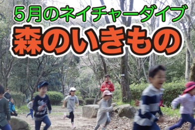 ネイチャーダイブ5月「森のいきもの」