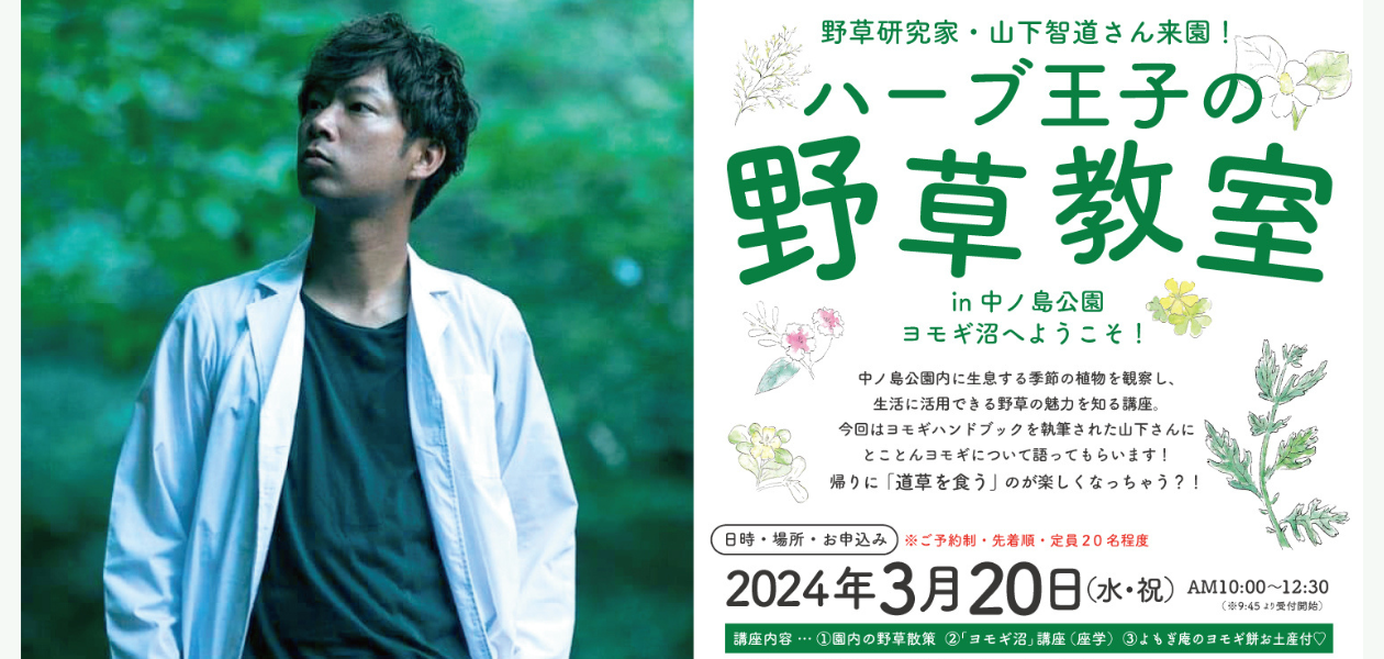 ハーブ王子の野草教室(ヨモギ沼へようこそ!)
