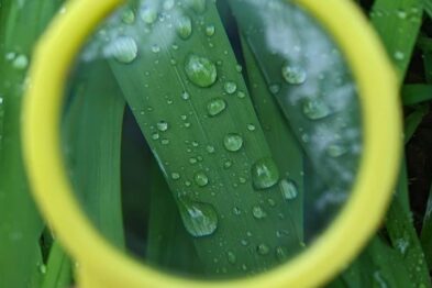 雨のゆくえ調査隊