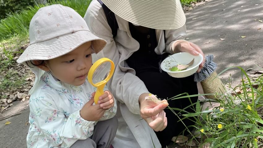 植物観察会